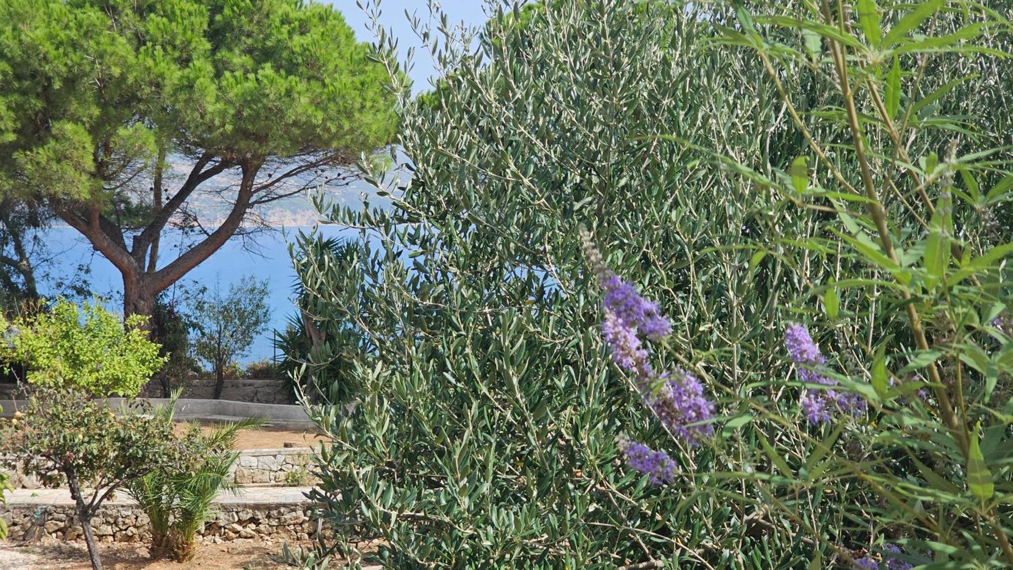Ploes Luxury Cottages Песада Экстерьер фото